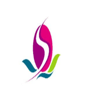 Saraswati Saree Depot logo