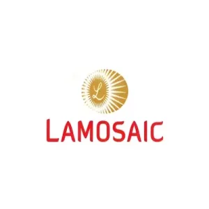 Lamosaic India logo