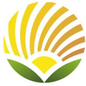 BharatRohan Airborne Innovations logo