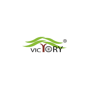 Victory Electric Vehicles International logo
