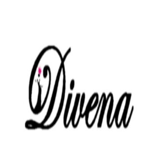 Dudani Retail logo