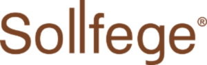Sollfege Smart Electronics logo